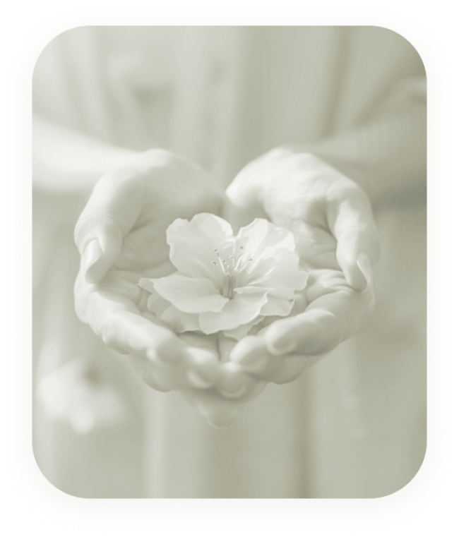 Câncer De Colo De Útero