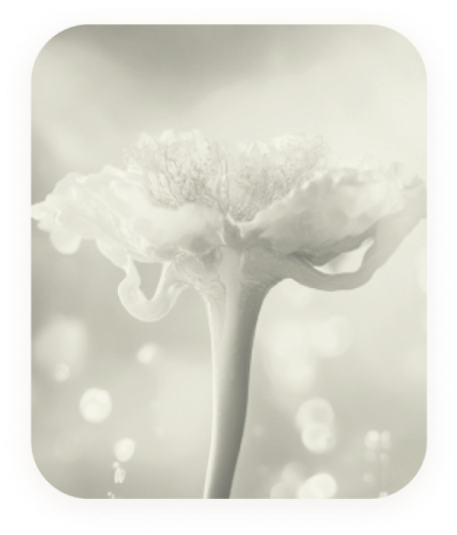 Endometriose: O Que É E Quais Os Sintomas